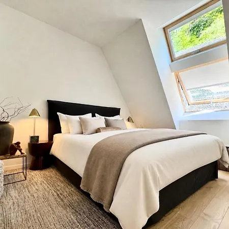 Apartment Luxury Loft By Castle&danube Riverside Parking Free *