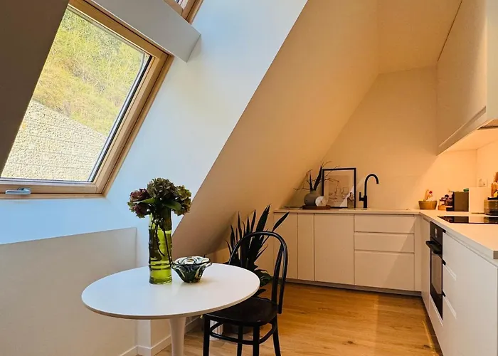 Apartmán Chic Loft By Castle&danube Old Town Free Parking