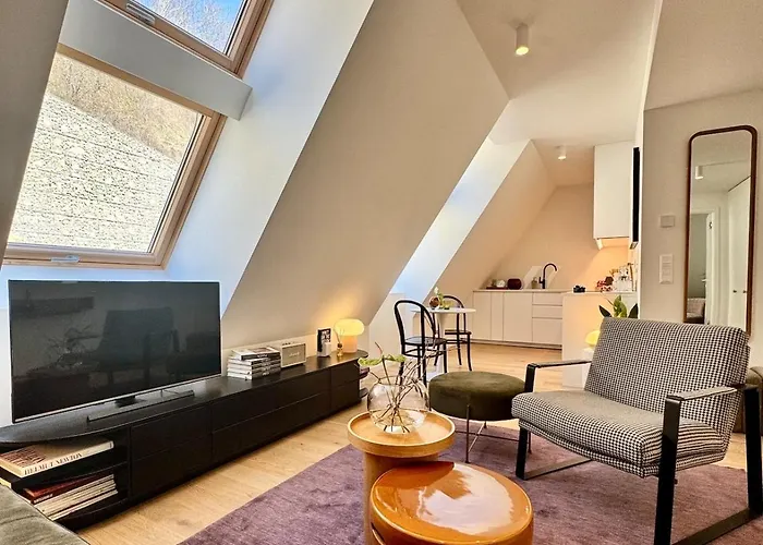 Elegant Vydrica Loft By Castle&Danube River Old Town Free Parking * ブラチスラヴァ