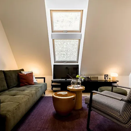 Elegant Loft By Castle&danube Old Town Free Parking 公寓 *