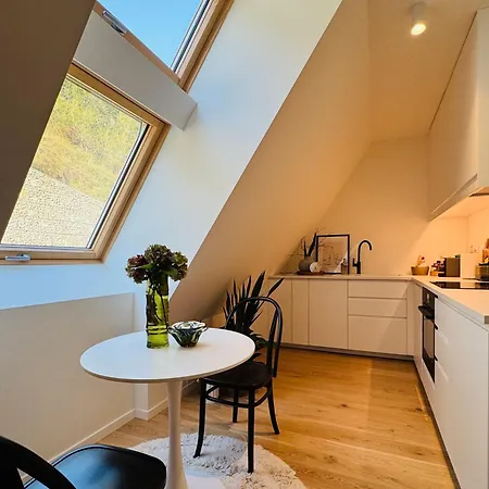 Apartament Chic Loft By Castle&danube Old Town Free Parking